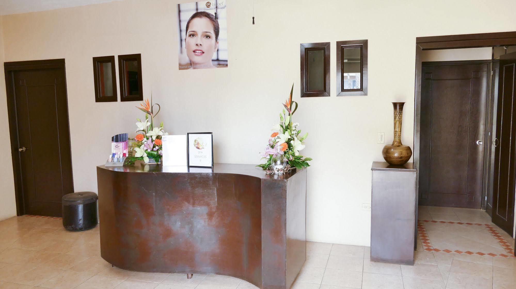 El Ameyal Hotel And Family Suites 卡波圣卢卡斯 外观 照片